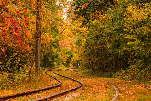 Autumn forest through which an old tram rides Ukraine photo