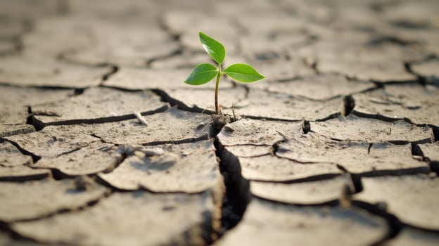 AI generated Climate change unfolds, shifting from drought to green growth, symbolizing a hopeful environmental transformation. Ai Generated. photo