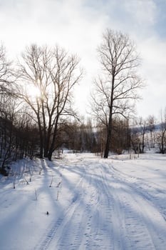 Forest nature winter the sun shines through the clouds, sunlight, shadows from the trees fall on the snow. cold weather, spring has come. photo