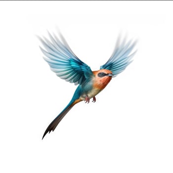 AI generated watercolor illustration three tropical birds Colibri , colorful flying beautiful bird isolated on white background photo