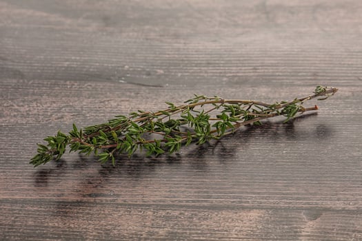 Thyme - aromatic seasoning herbal plant photo