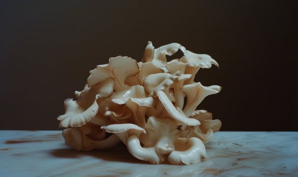 AI generated Oyster mushrooms on a marble table. Selective focus. photo