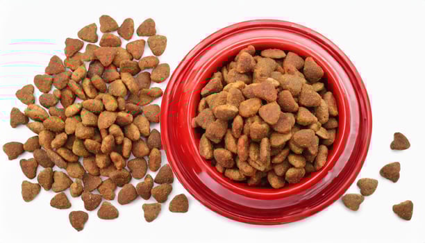 Dry pet food in red plastic bowl isolated on white background. Animal nutrition photo