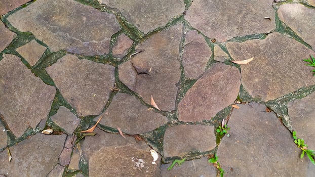 a footpath made of large stone tiles surrounded by wild plants around it photo