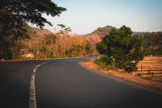 Empty Road To The Jungle photo