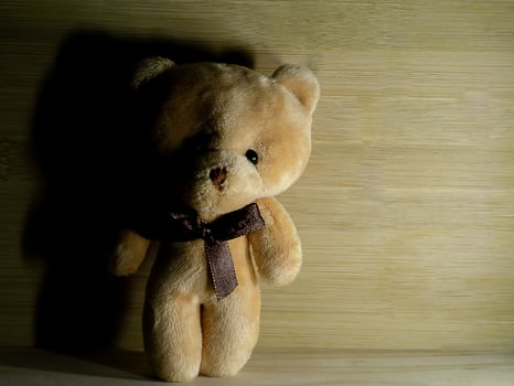 Brown bear doll photo