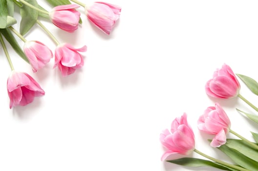 Floral background with tulips flowers on white background. Flat lay, top view. Lovely greeting card with tulips for Mothers day, wedding or happy event photo