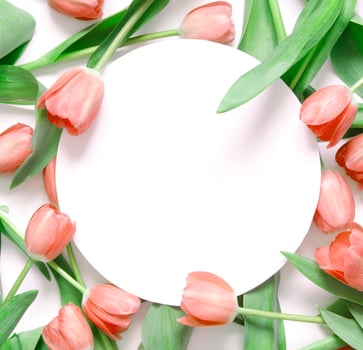 Spring flowers. Spring background. Greeting card for Valentine's Day Woman's Day and Mother's Day. photo