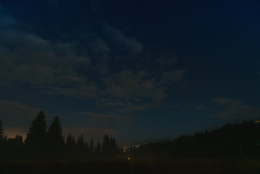 Forest against the background of the starry sky in the Carpathian mountains photo