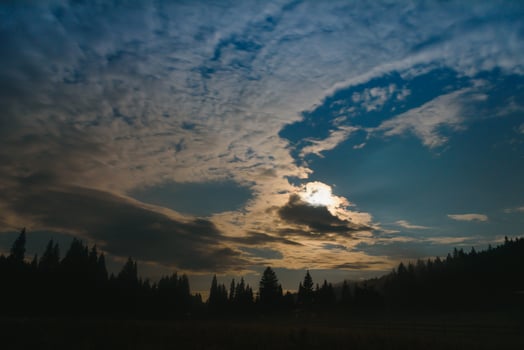 Wild forest silhouette on mountain under star night sky. Beautiful silhouettes of coniferous trees on hill in dark starry night. photo