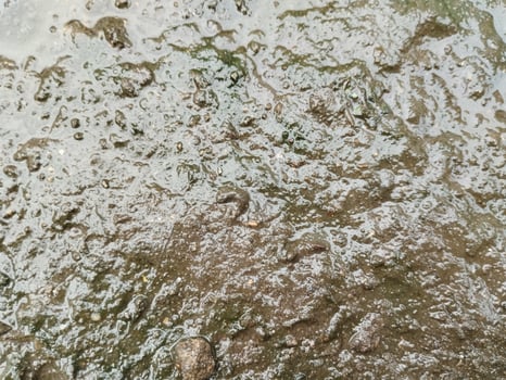 Cracked soil, Drought soil, Wet soil and mud texture, Wet land. photo