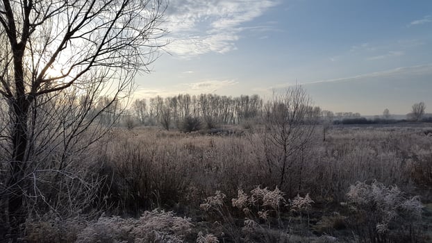 Autumn morning. Frosty autumn morning. Sun in autumn landscape photo