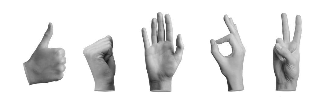 Hand gestures set. Fingers showing ok, victory, hi greeting, fist, ok signs isolated on white photo