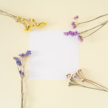 Creative layout made of colorful dry flowers with paper card note on pastel cream background. Floral greeting card. Minimal concept and simplicity. Nature decorative design. Flat lay. photo