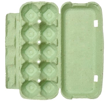 Green recycled egg carton on isolated background, storage photo