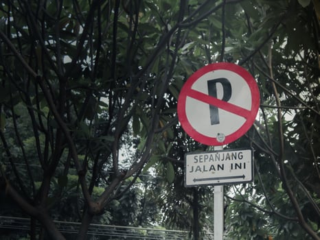 Traffic signs. Parking is prohibited along this road. photo