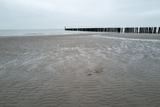 old wooden breakwaters on the north sea in Zeeland Netherlands photo