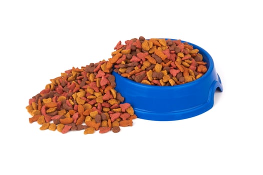 Pet food on white photo