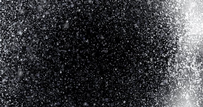 Contrast in Elegance, Fresh Blanket of Winter's Snowfall Against a Dark Canvas photo
