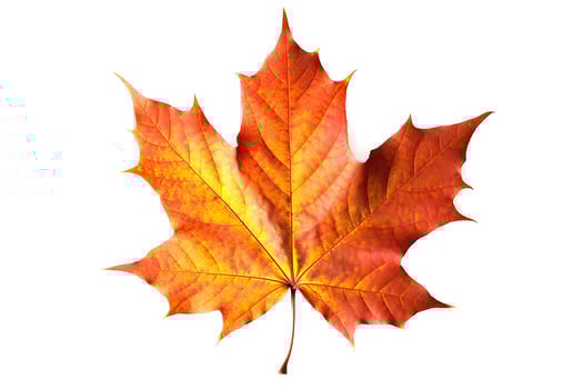 AI generated Autumn Splendor Vibrant Maple Leaf Showcasing the Beauty of the Fall Season. created with Generative AI photo
