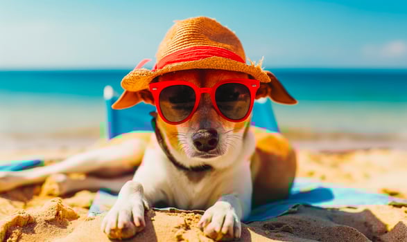 AI generated Stylish Chihuahua Dog Sunbathing at the Beach with Sunglasses and Hat photo