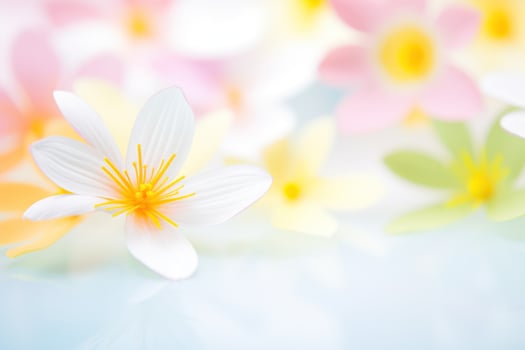 AI generated spring floral background with copy space photo