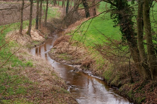 spring time in germany near Barlo photo