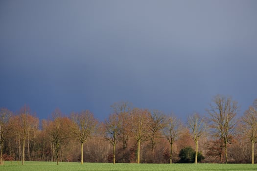 spring time in germany near Barlo photo