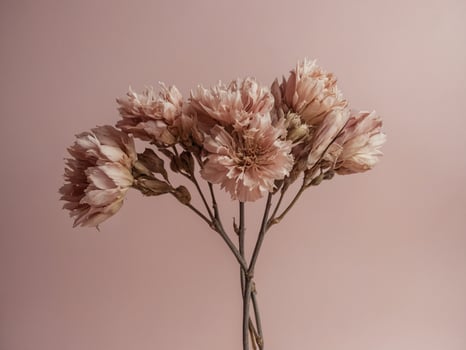 Dried Bloom Flower photo