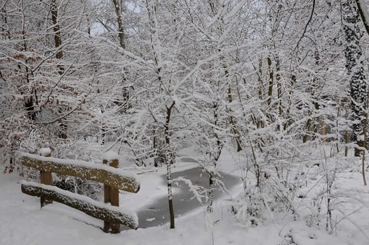 winter time in westphalia photo