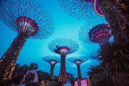 Lights in Gardens by the Bay in Singapore. photo