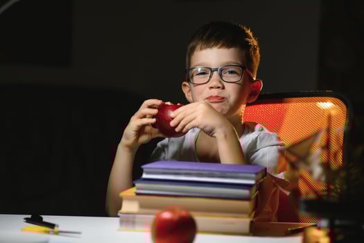boy doing homework at home in evening photo