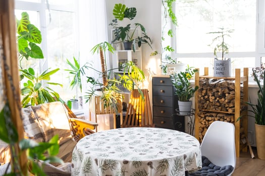 Empty round table for installation and demonstration of product in interior with Tropical indoor plants in country green house . Houseplant Growing and caring for potted plant, greenhome in cottage photo
