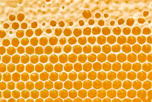 Honeycombs with sweet golden honey on whole background, close up. Background texture, pattern of section of wax honeycomb photo