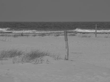 juist in the north sea photo