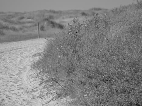 juist in the north sea photo