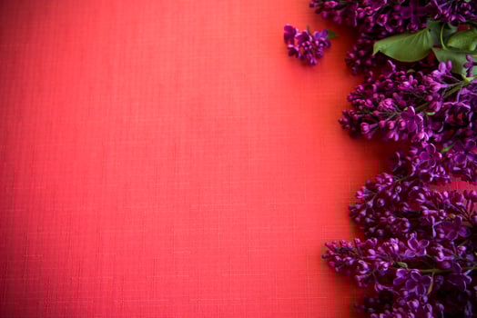 The beautiful lilac on a wooden background photo