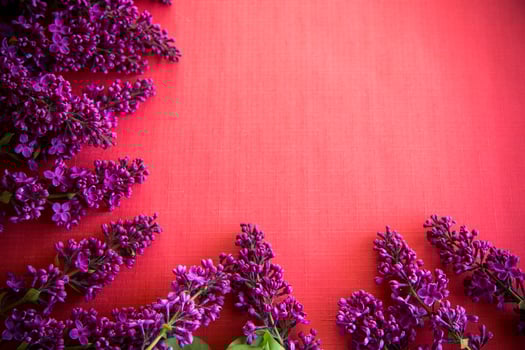 The beautiful lilac on a wooden background photo