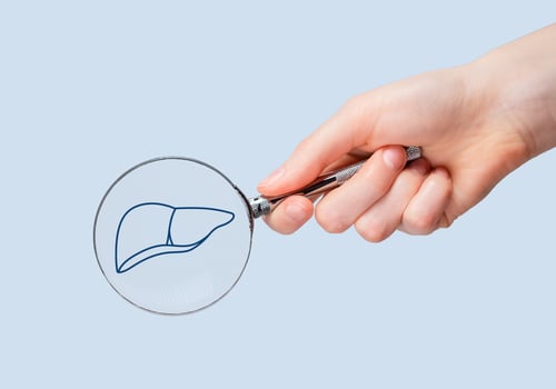 Liver health, study through magnifying glass photo
