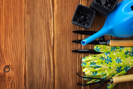 Garden tools on wooden background with space for text top view photo
