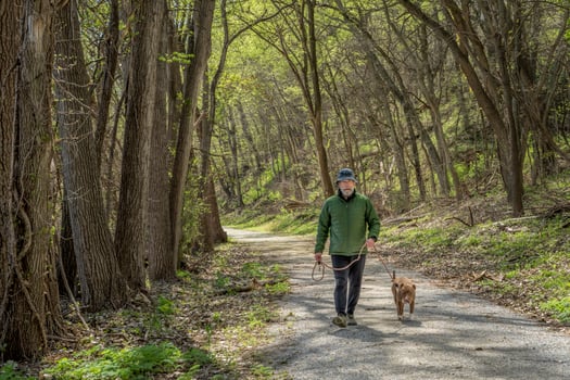 senior man walking with a dog in a forest - Steamboat Trace Trail near Peru, Nebraska photo