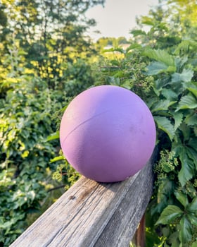 medicine or slam ball filled with sand on a backyard deck, exercise and functional fitness concept photo
