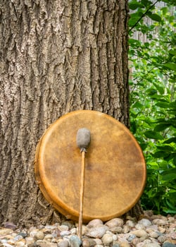 handmade, native American style, shaman frame drum covered by goat skin with a beater under an oak tree photo