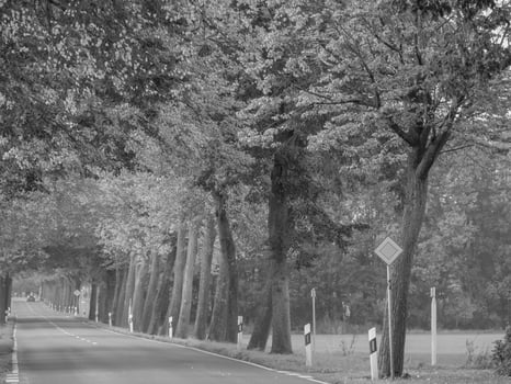 weseke in westphalia photo