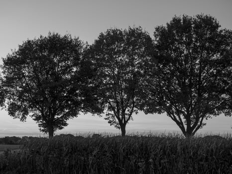 westphalia in germany photo