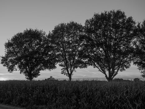 westphalia in germany photo