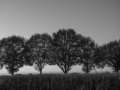 westphalia in germany photo