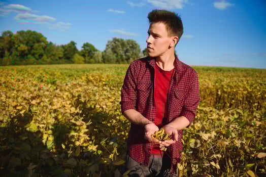 Farmer in soybean field plantation photo