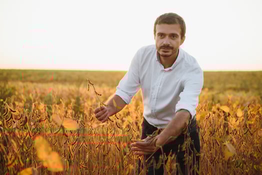 Agronomist inspects soybean crop in agricultural field - Agro concept - farmer in soybean plantation on farm. photo