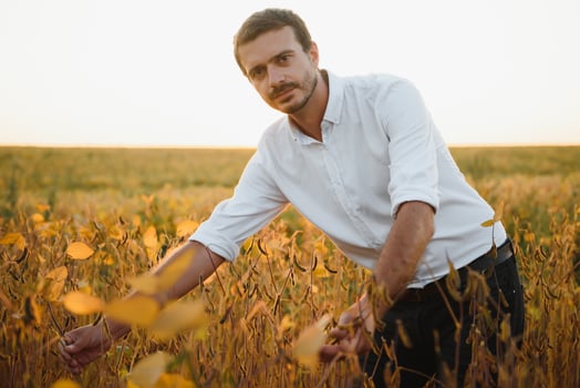 Agronomist inspects soybean crop in agricultural field - Agro concept - farmer in soybean plantation on farm. photo